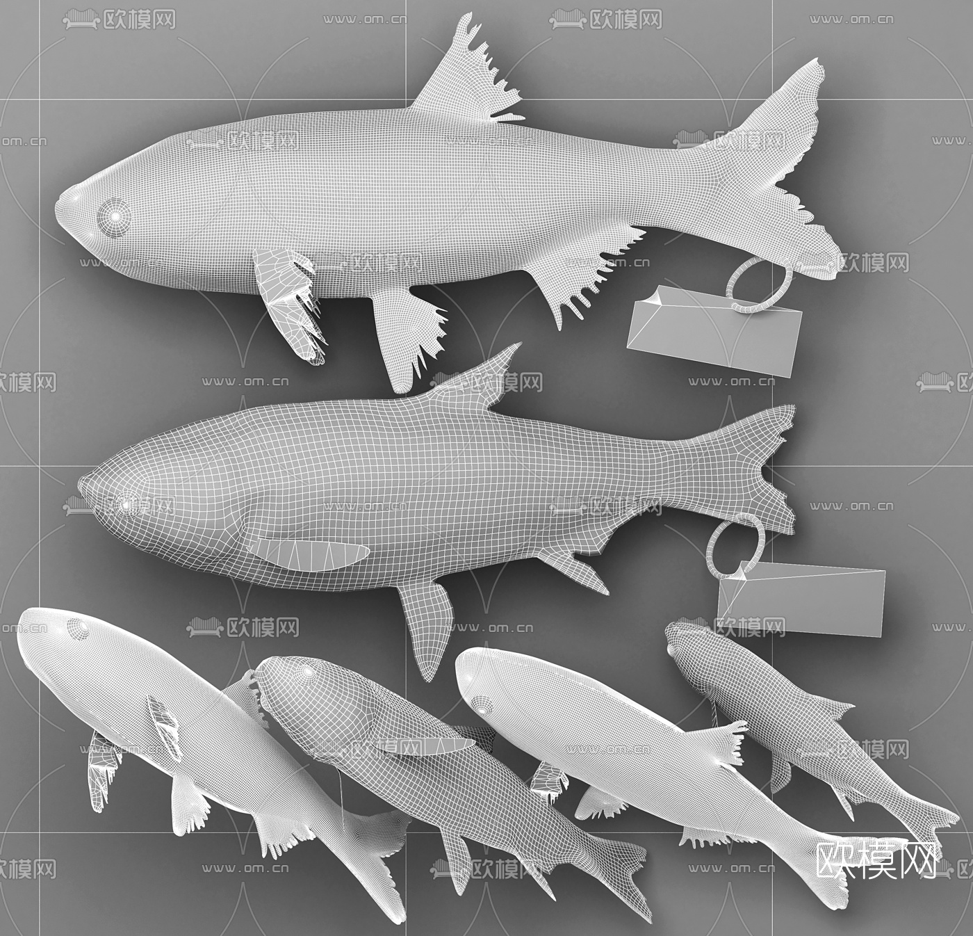 现代花白鲢鱼胖头鱼标本3d模型下载（渲染图3）