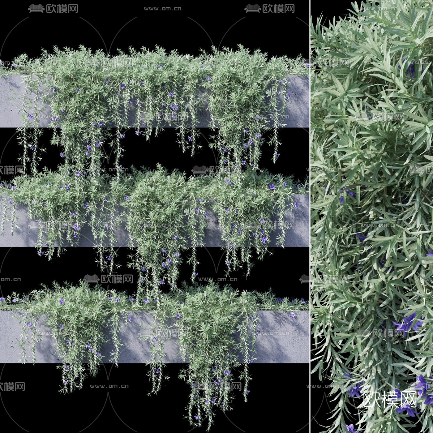 现代绿植藤蔓3d模型下载