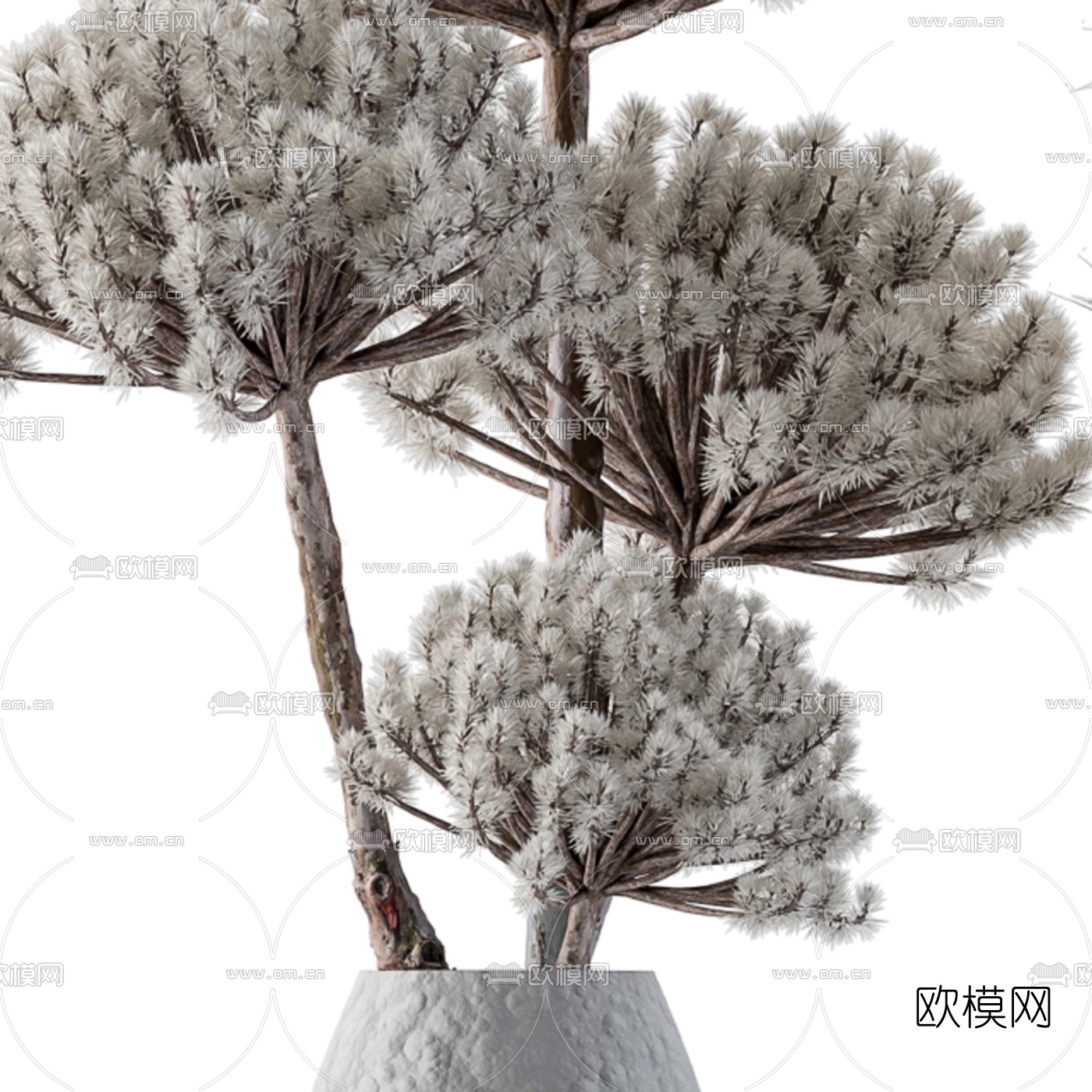 现代干枝花瓶插花3d模型下载（渲染图2）