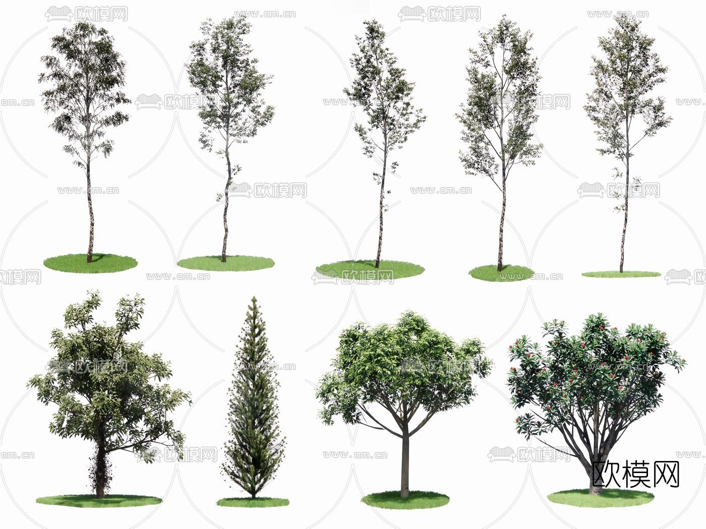 现代景观树su模型下载