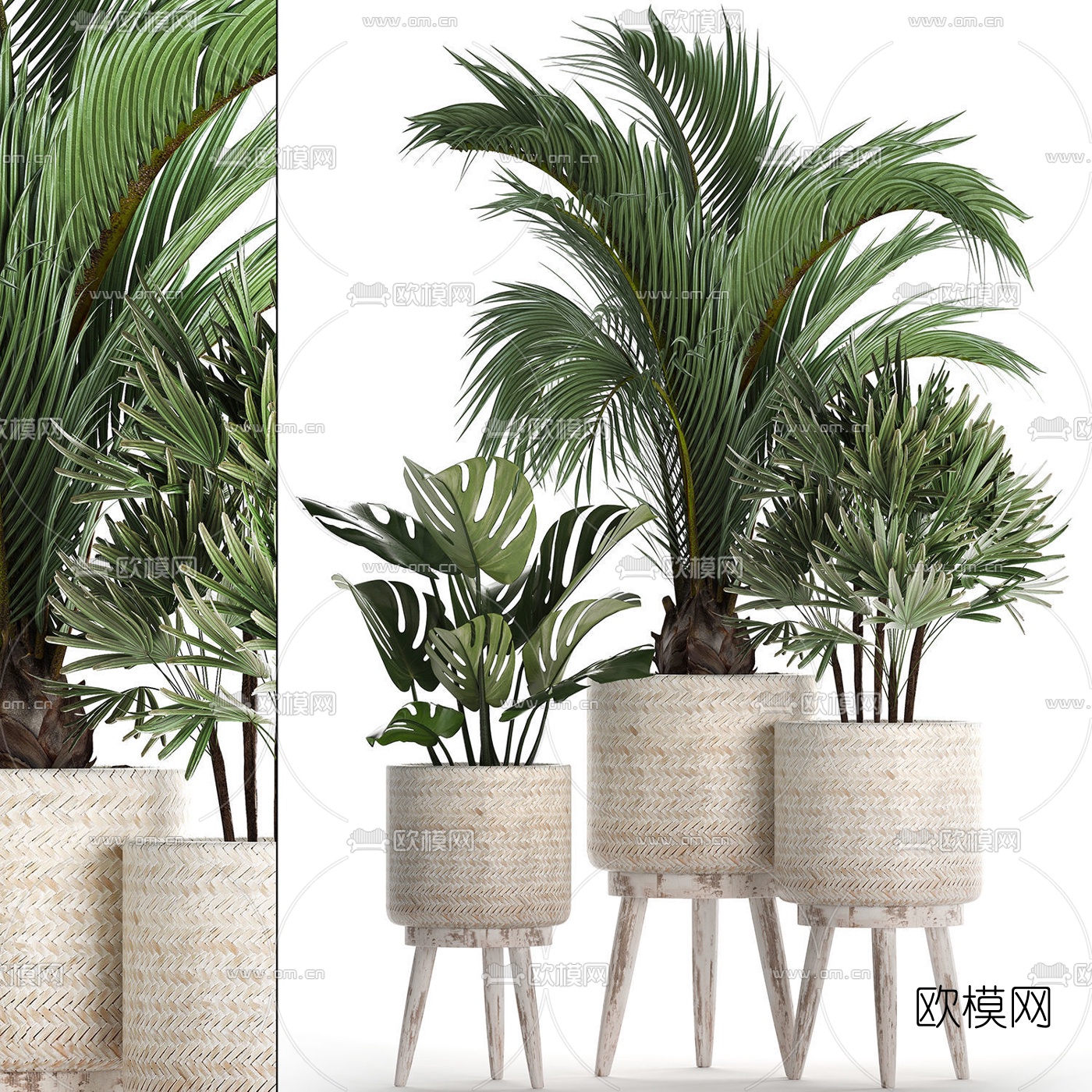 北欧绿植盆栽3d模型下载（渲染图1）