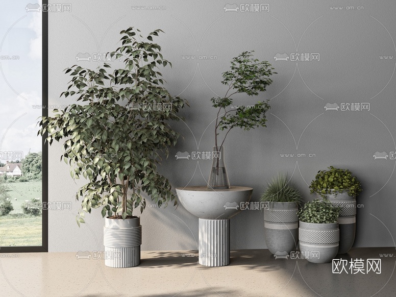 现代绿植盆栽3d模型下载