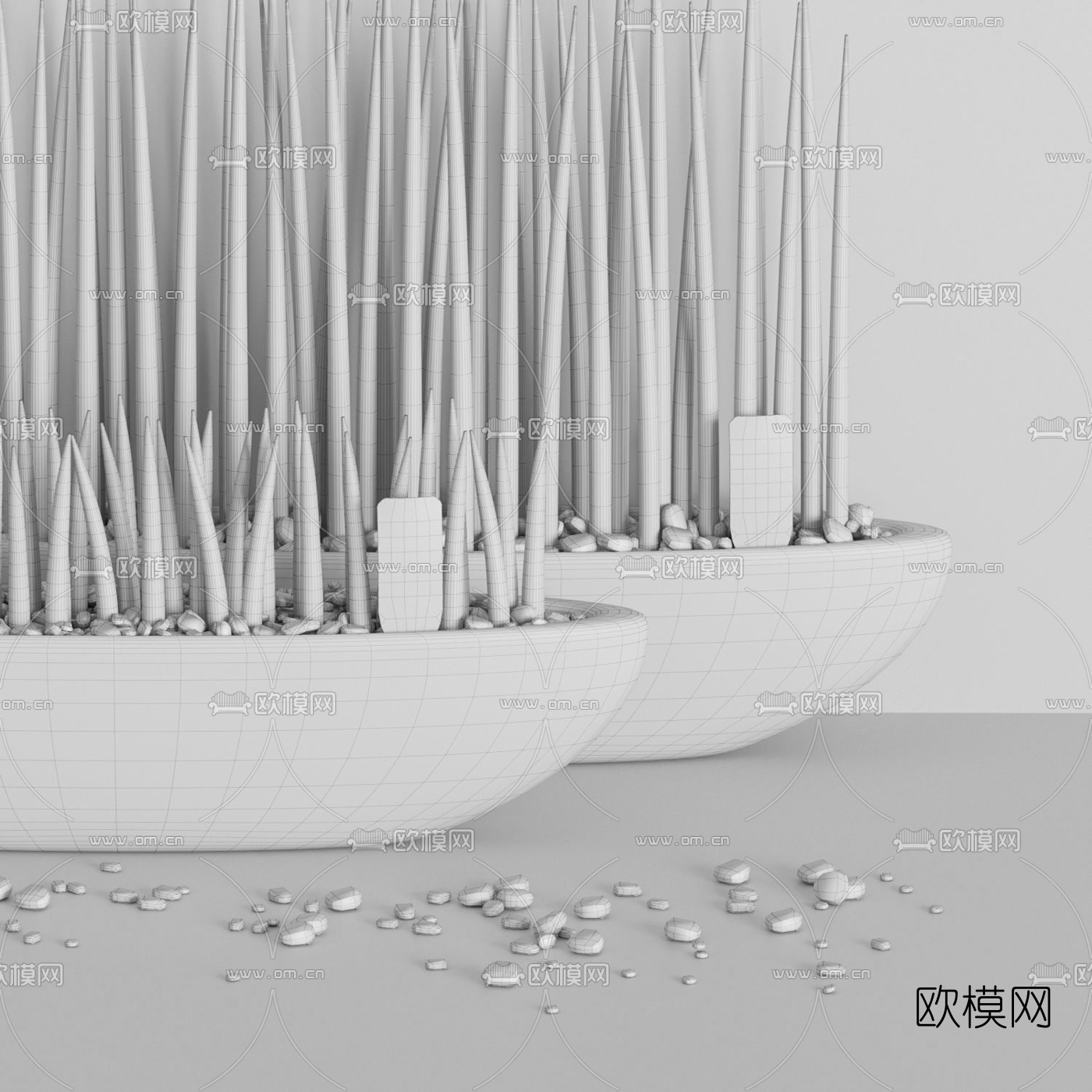 现代室内虎尾草植物盆栽3d模型下载（渲染图6）