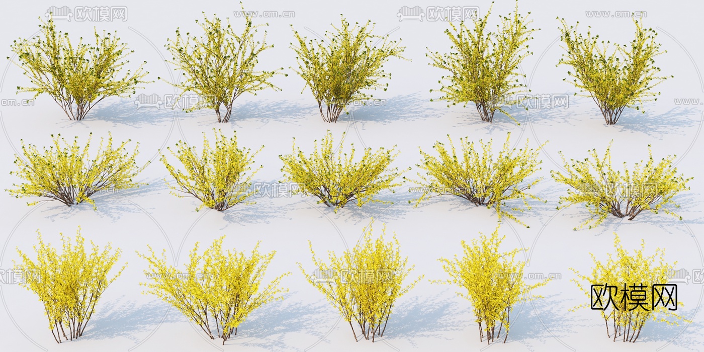 现代园林灌木植物3d模型