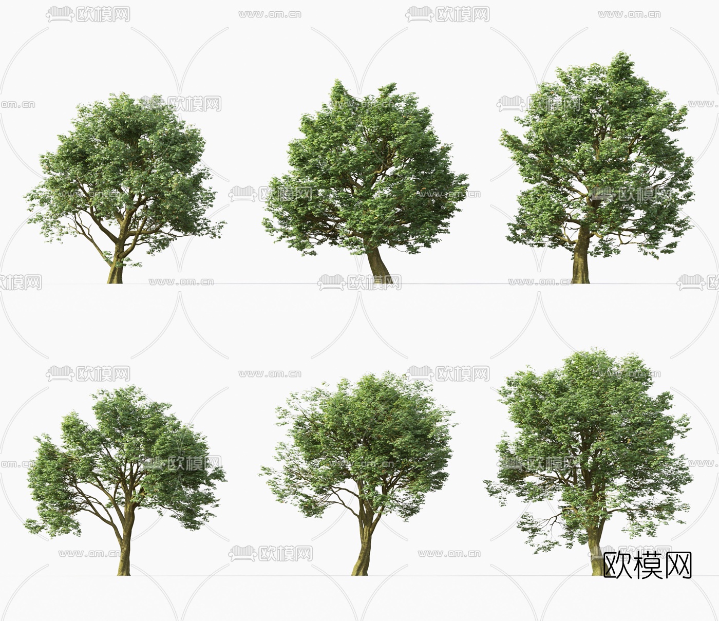 现代户外景观树3d模型