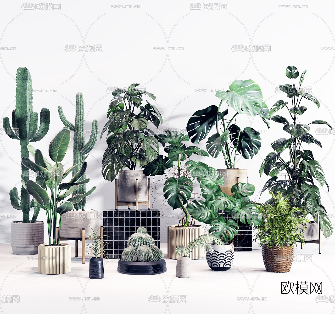北欧绿植盆栽组合3d模型