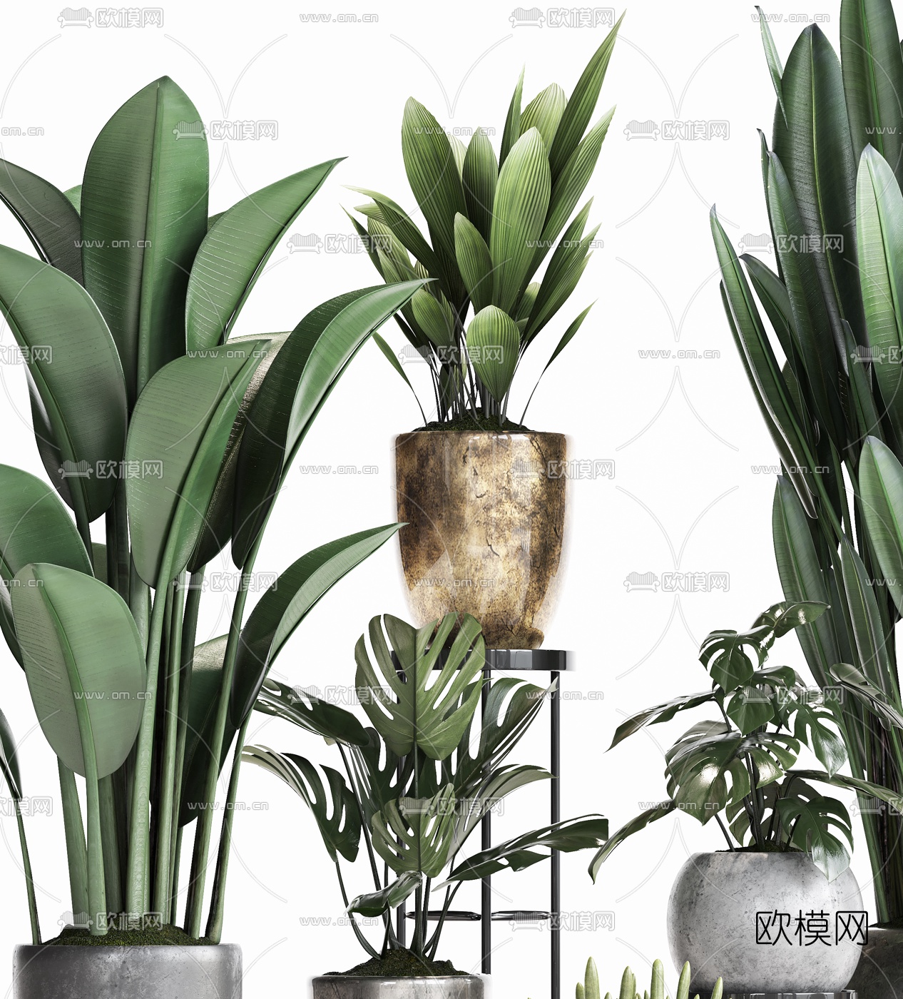 现代绿植盆栽3d模型