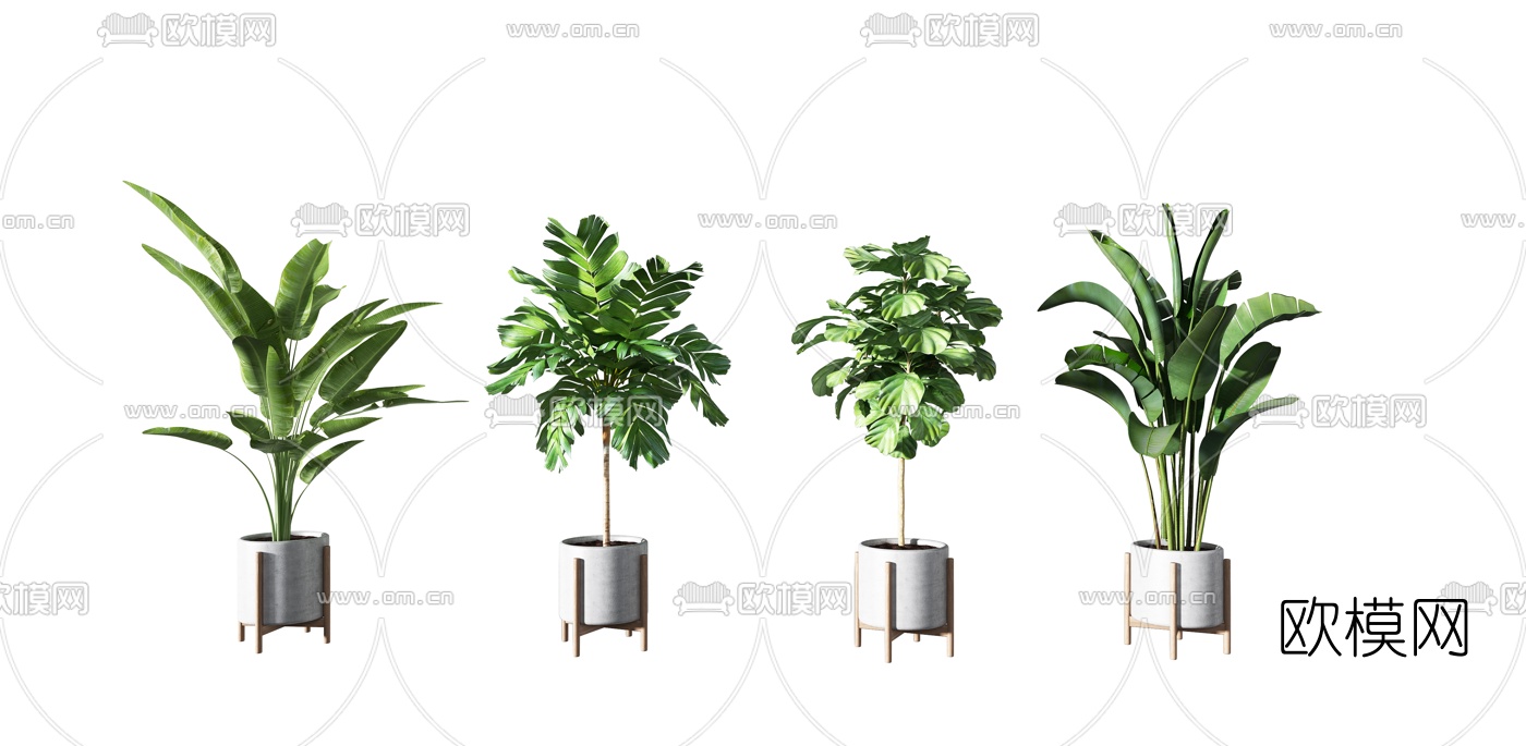 现代盆栽绿植3d模型下载