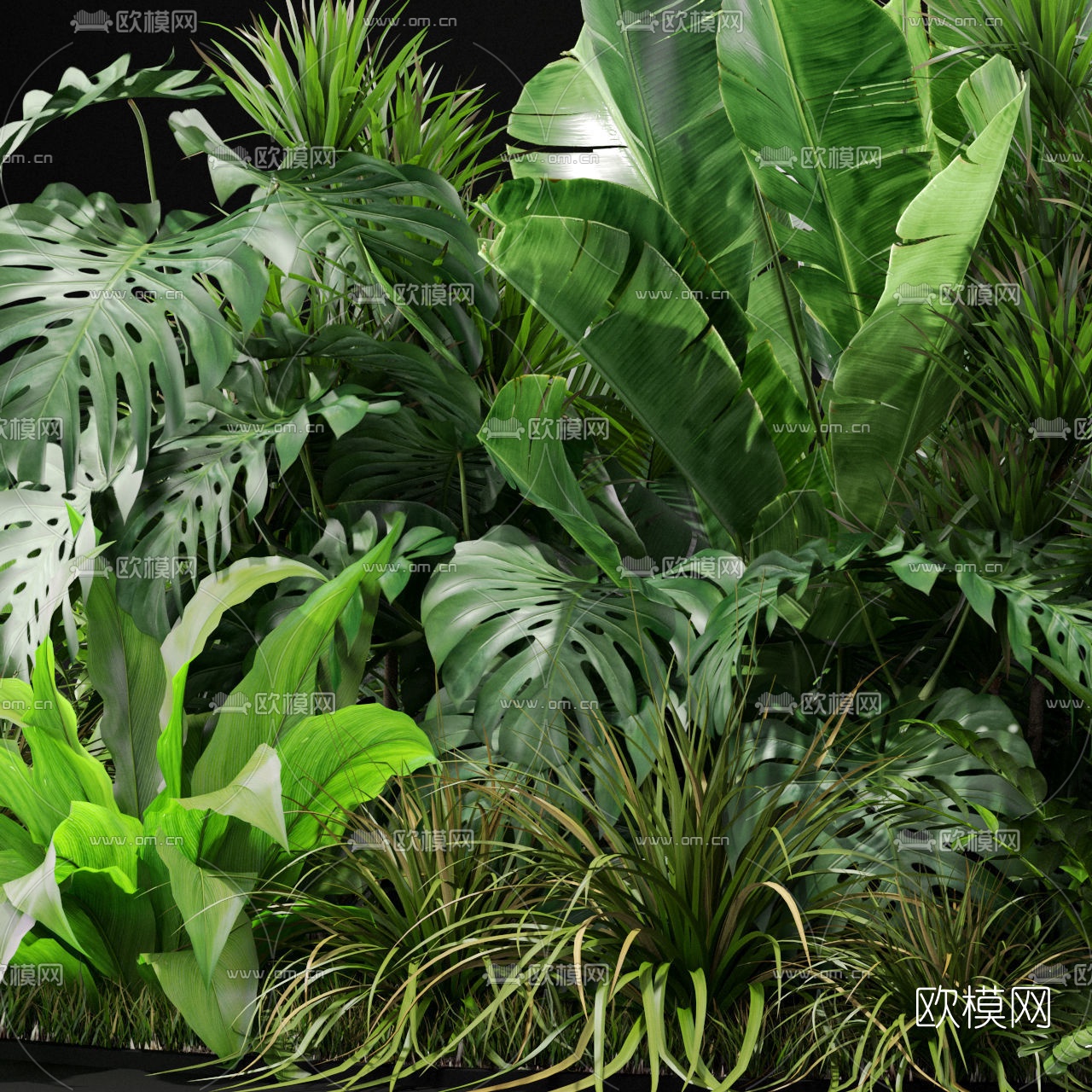 现代绿植灌木丛3d模型下载（渲染图4）