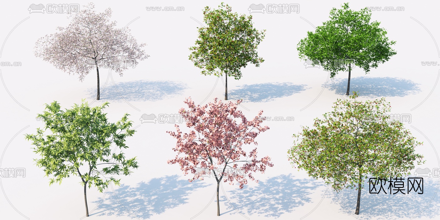 现代户外景观树3d模型