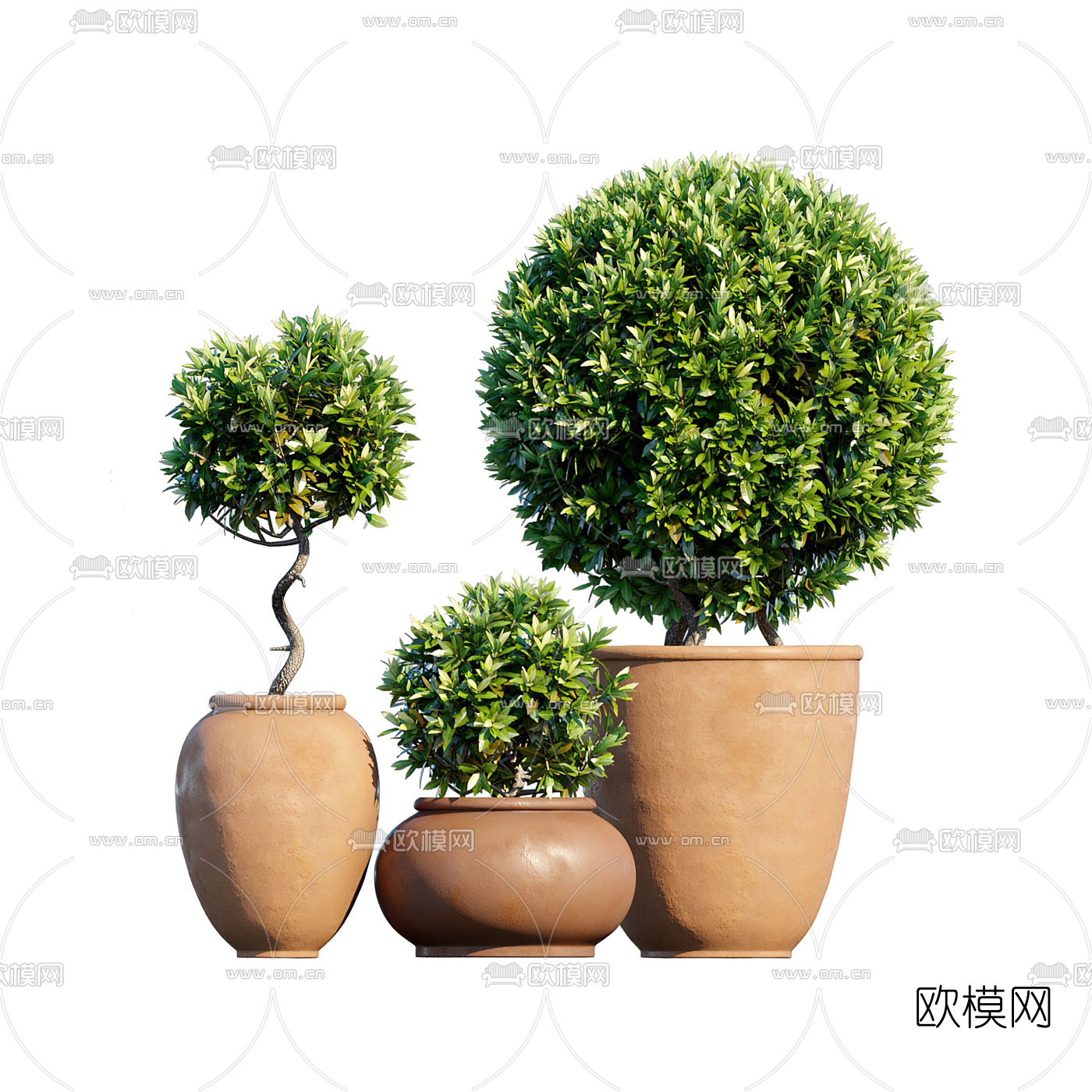 现代绿植盆栽3d模型