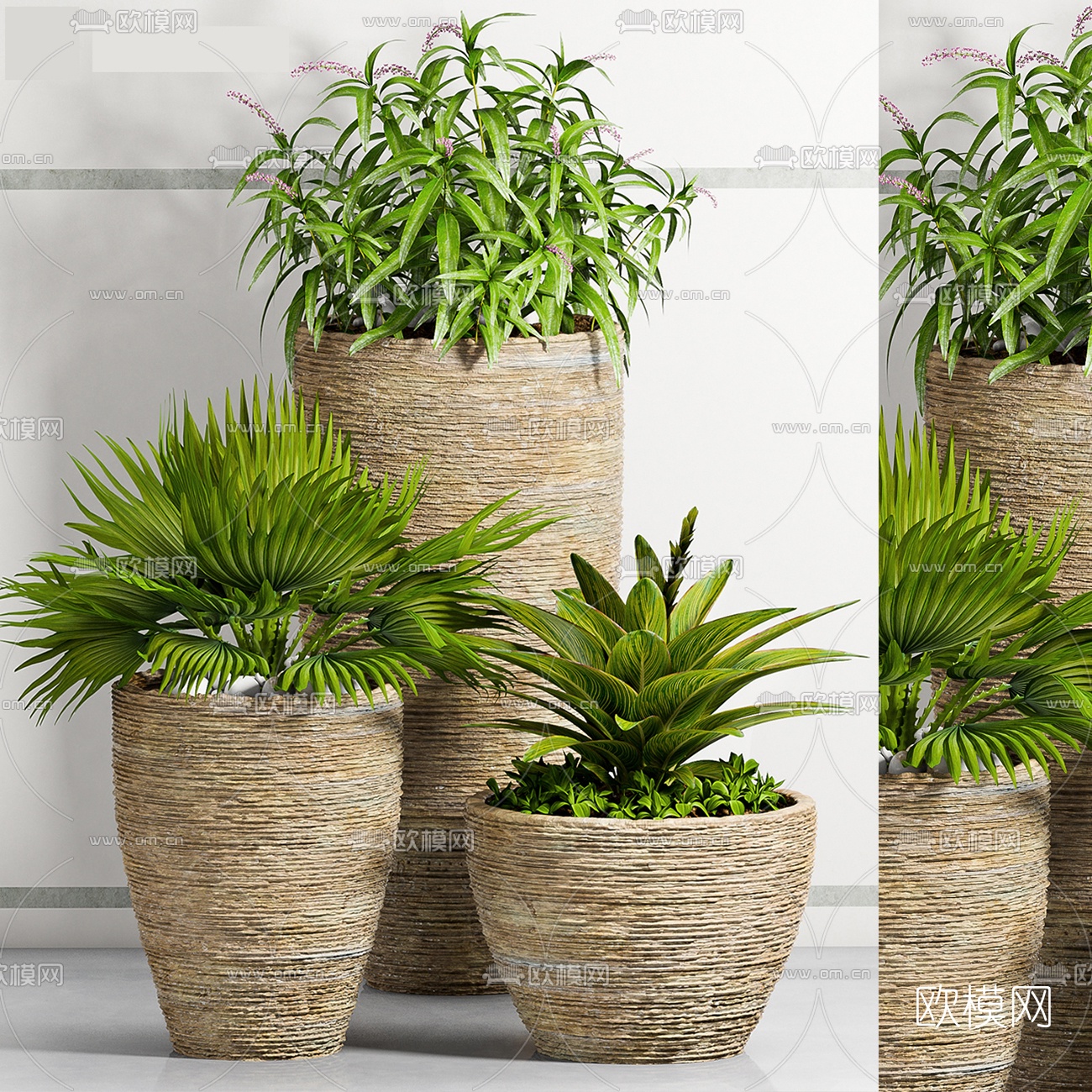 现代绿植盆栽3d模型