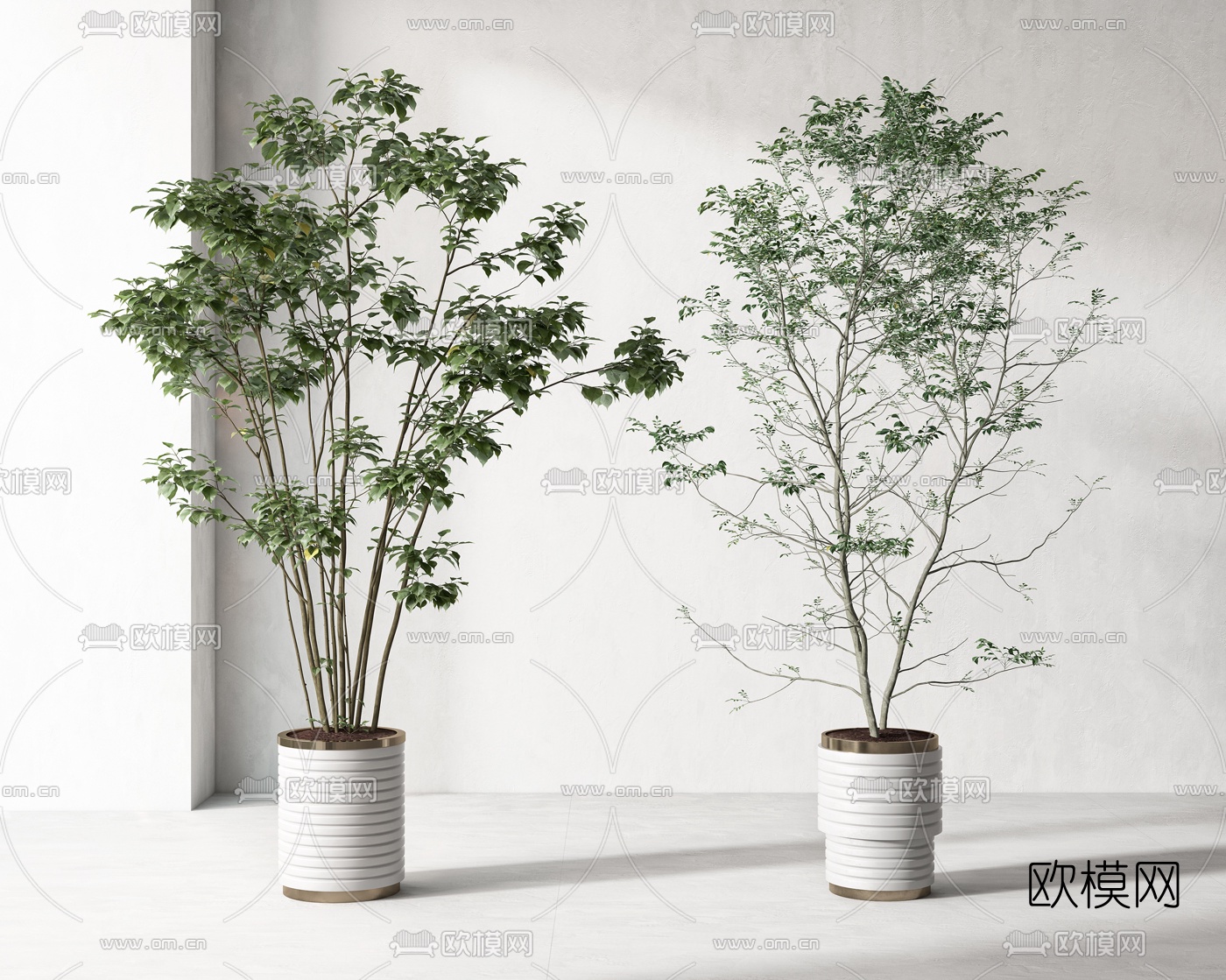 现代绿植盆栽3d模型下载（渲染图1）