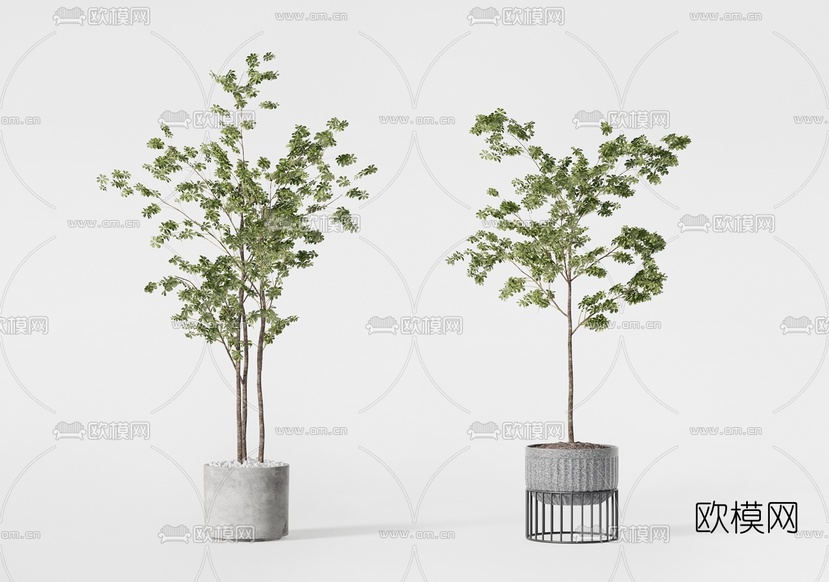 现代绿植盆栽3d模型下载