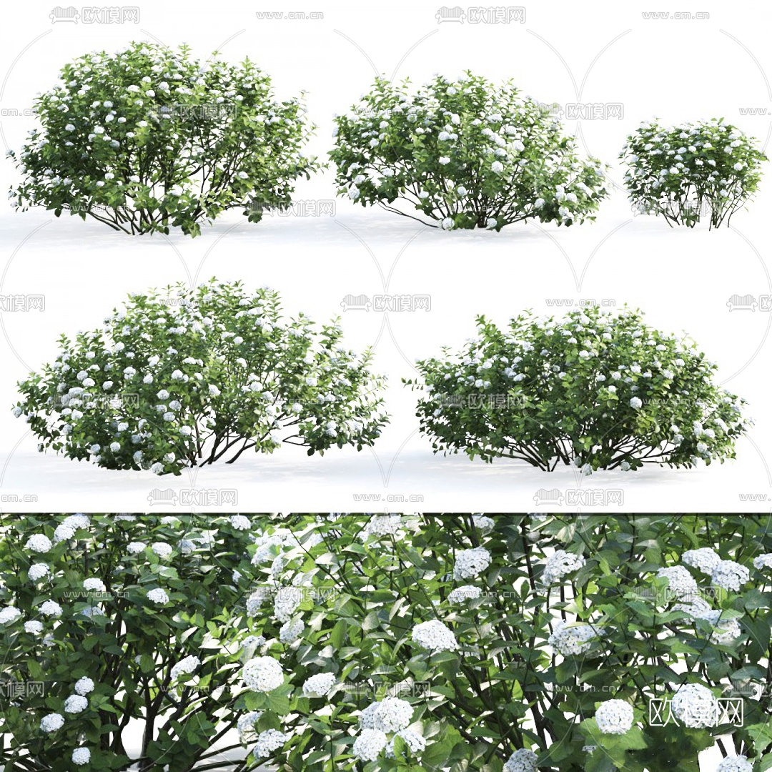 现代绿植灌木3d模型