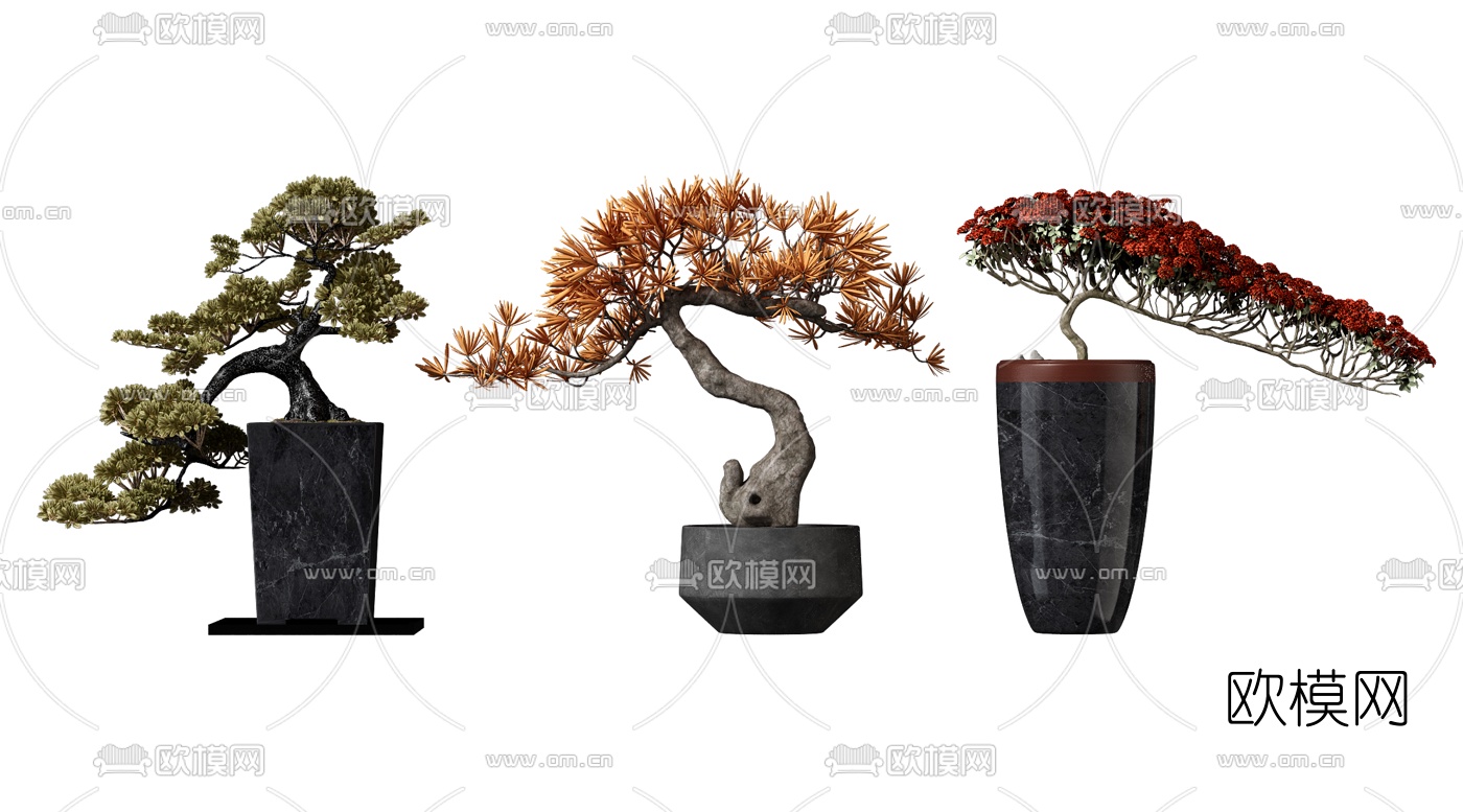 新中式松树盆景3d模型下载