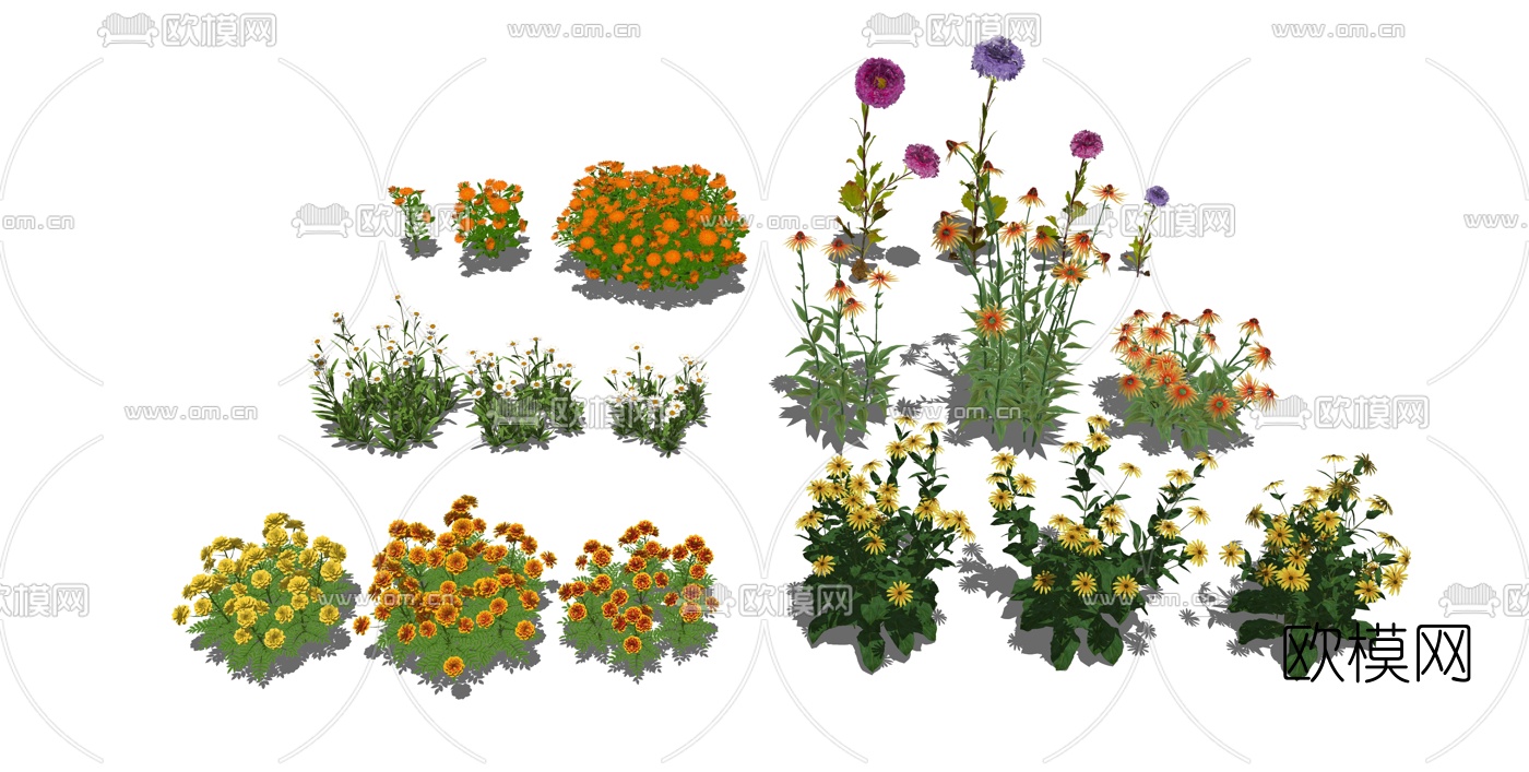现代灌木花卉菊花su模型下载（渲染图1）