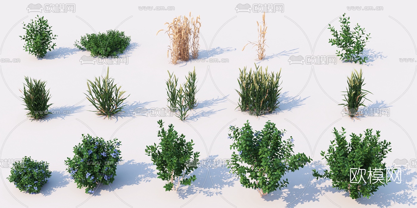 现代植物灌木3d模型