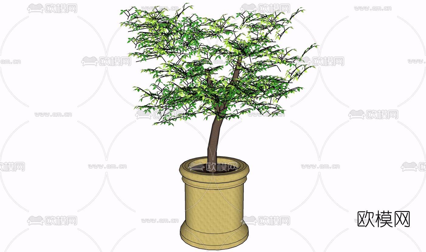现代绿植盆栽免费su模型