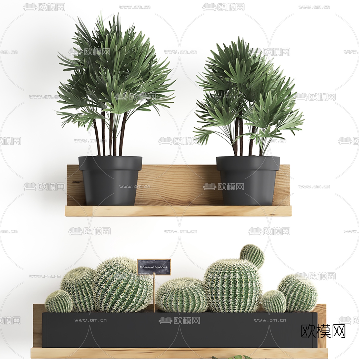 现代绿植盆栽3d模型