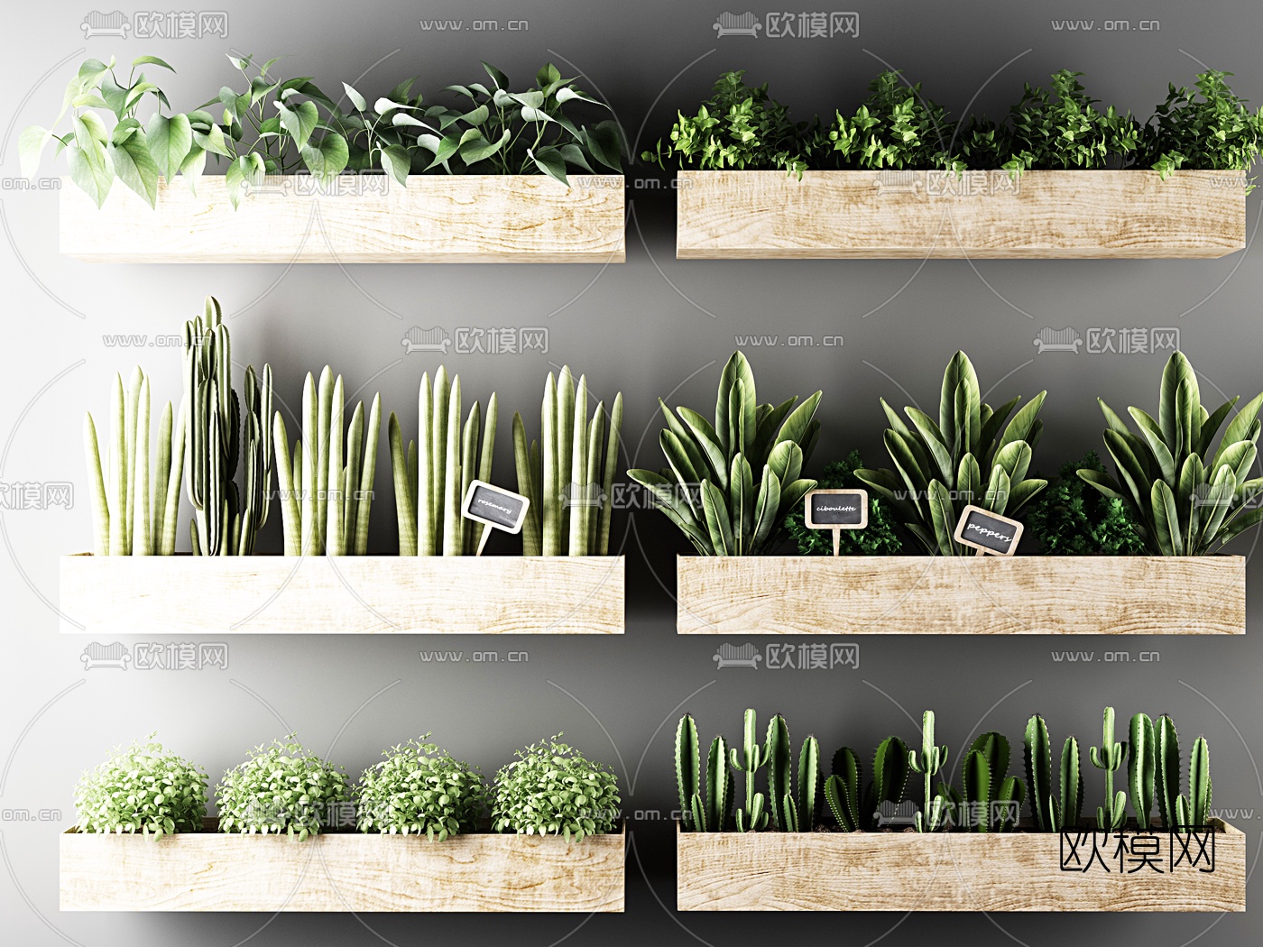 北欧仙人掌植物盆栽组合3d模型下载