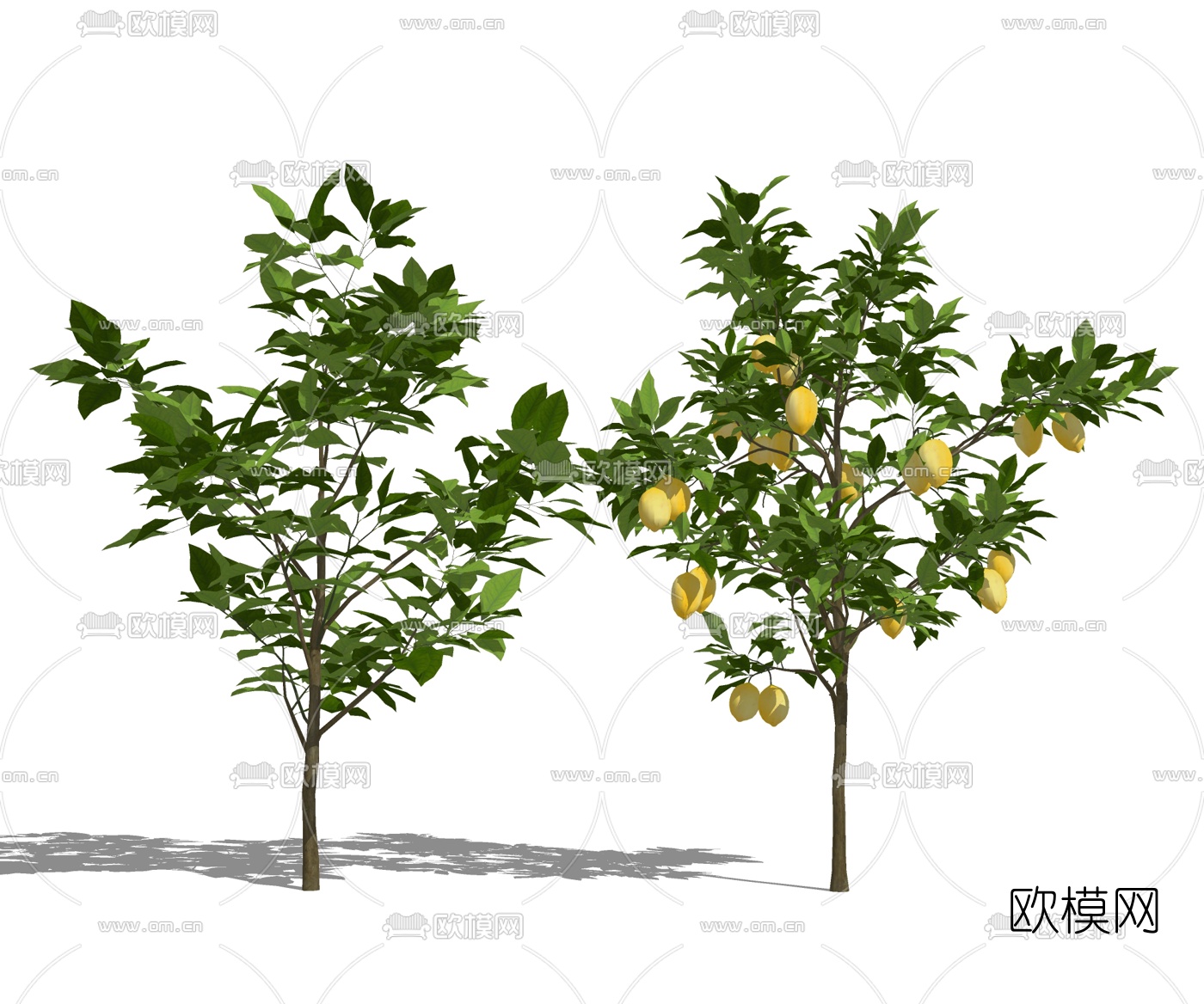 现代柠檬树su模型下载