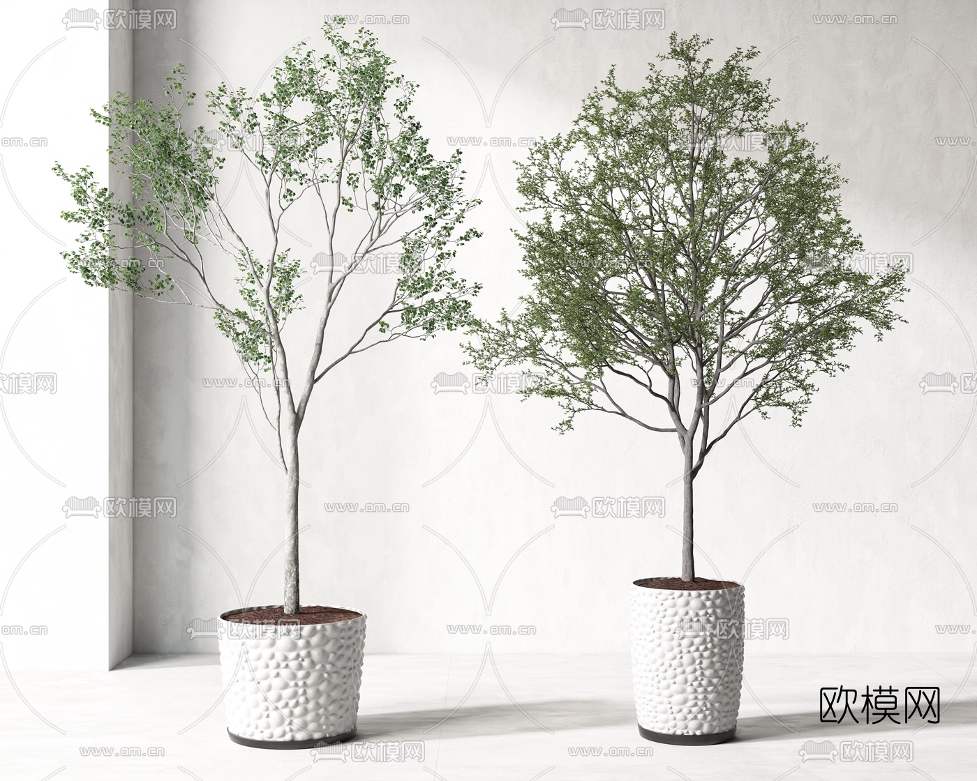 现代绿植盆栽3d模型-免费3dmax模型库-欧模网