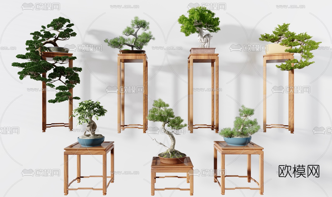 新中式花架松树盆景盆栽3d模型下载