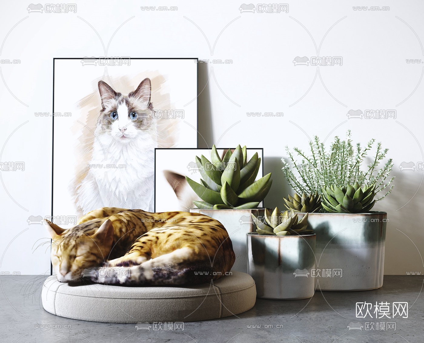 现代宠物猫3d模型