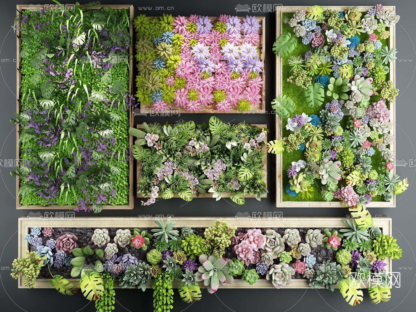 现代花草多肉植物墙3d模型下载