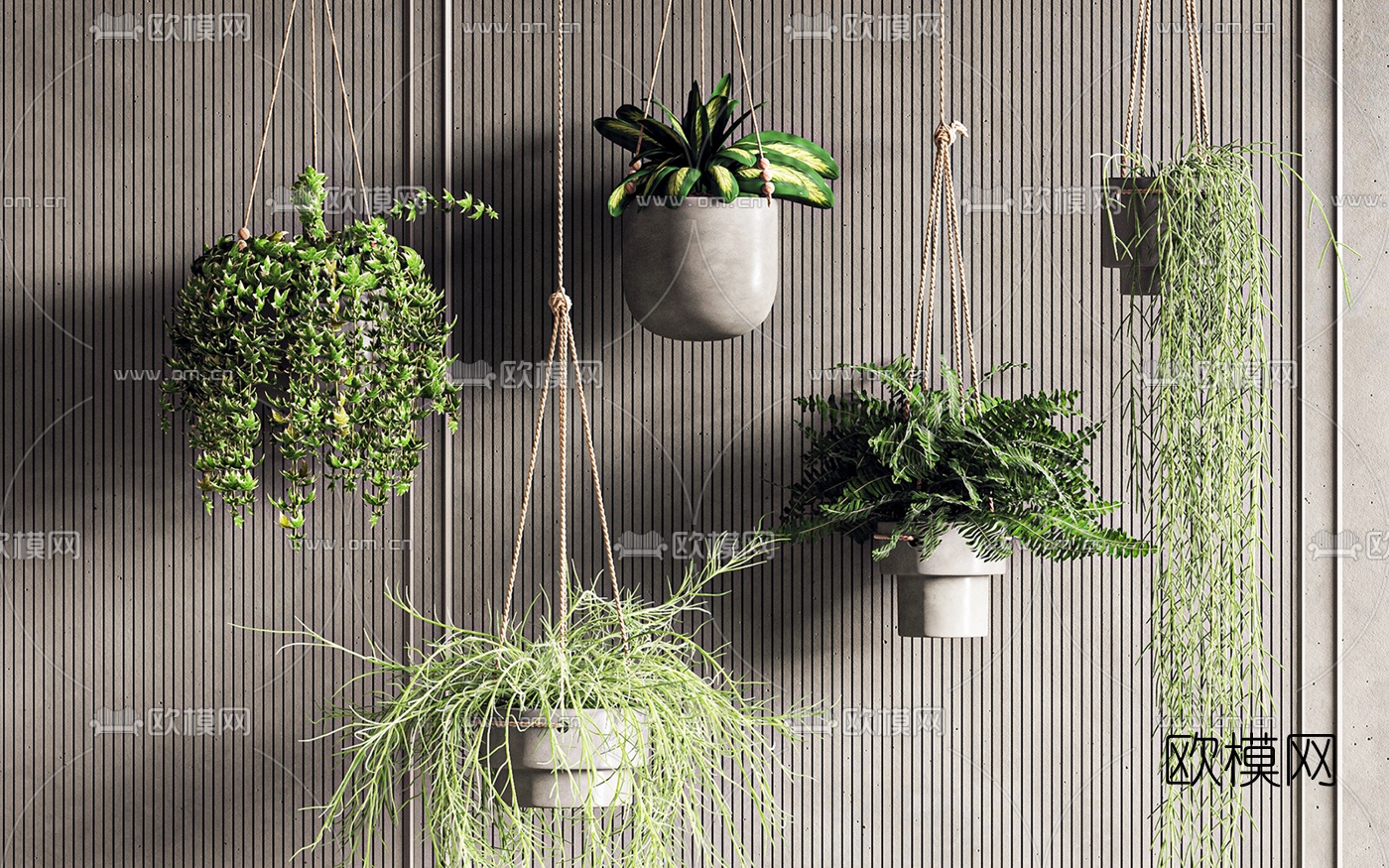 现代吊篮植物盆栽3d模型下载（渲染图2）