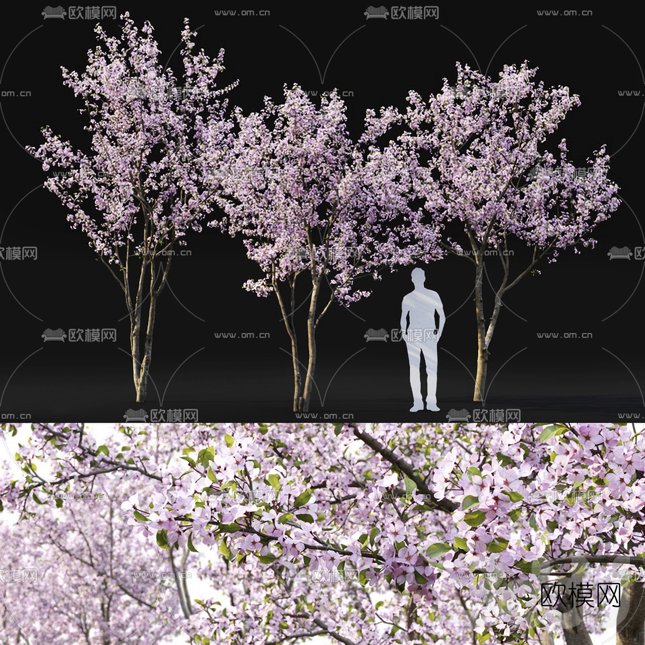 现代桃花树3d模型