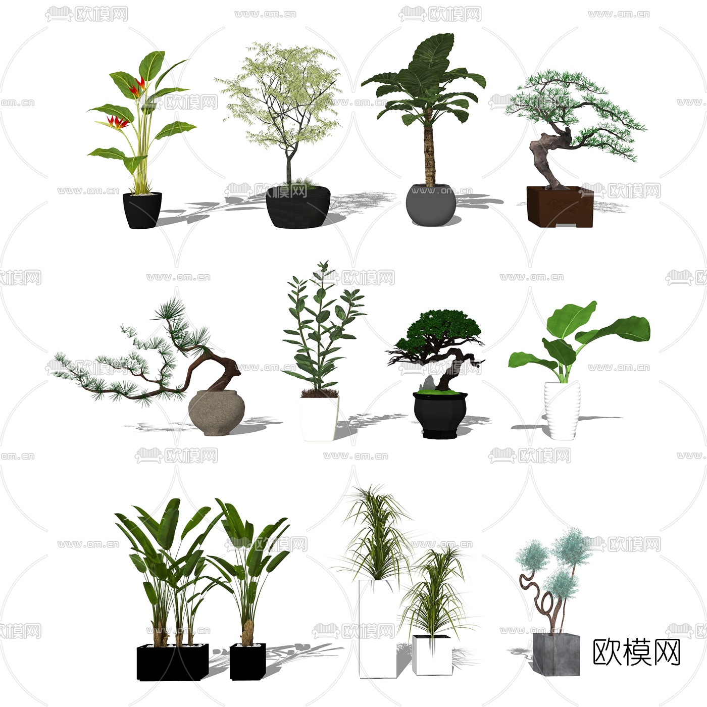 现代绿植盆栽su模型