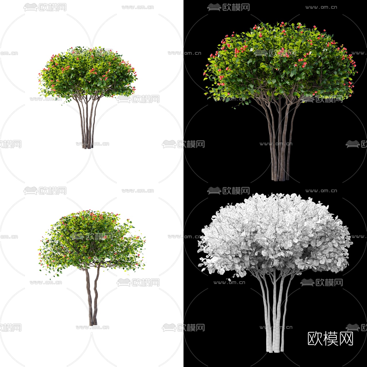 现代果树3d模型下载（渲染图2）