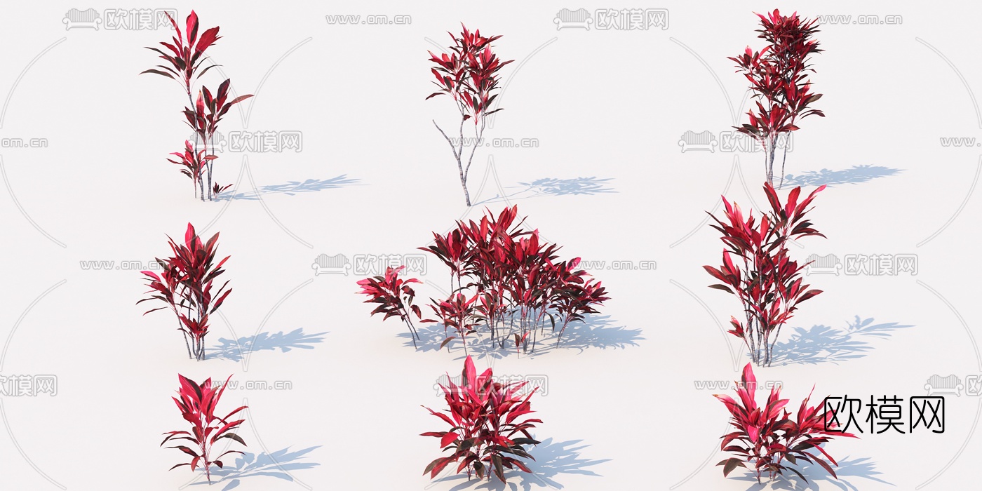 现代植物红叶灌木3d模型