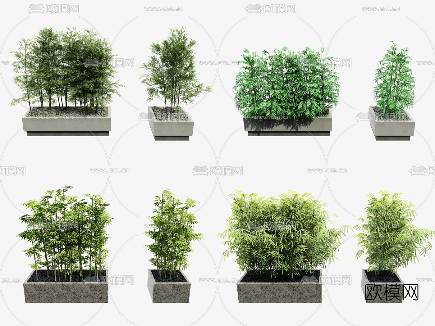 现代竹子盆栽3d模型下载