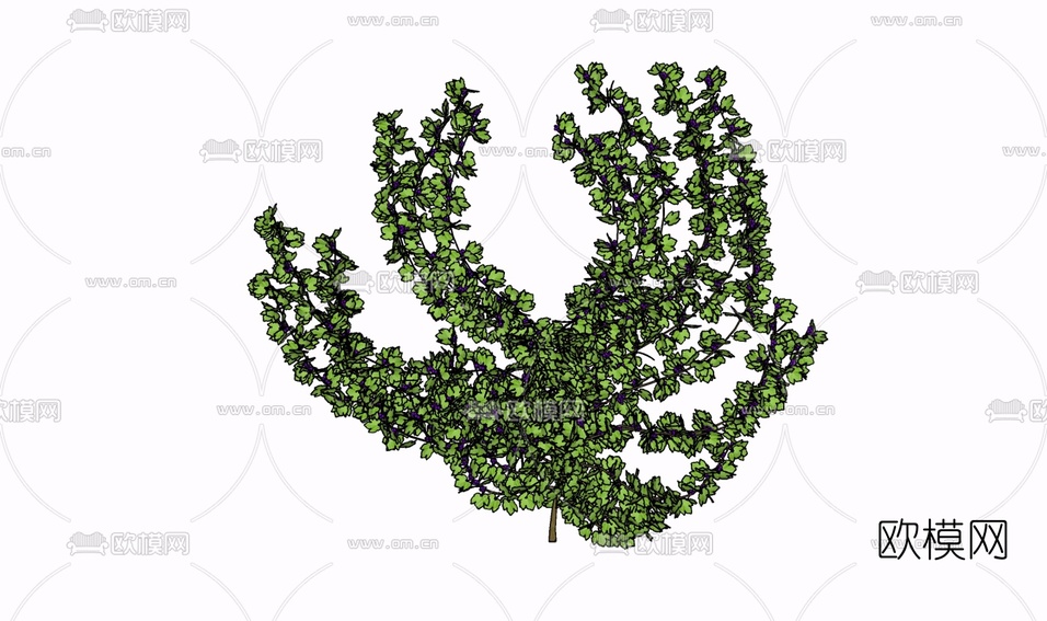 现代绿植花草免费su模型下载