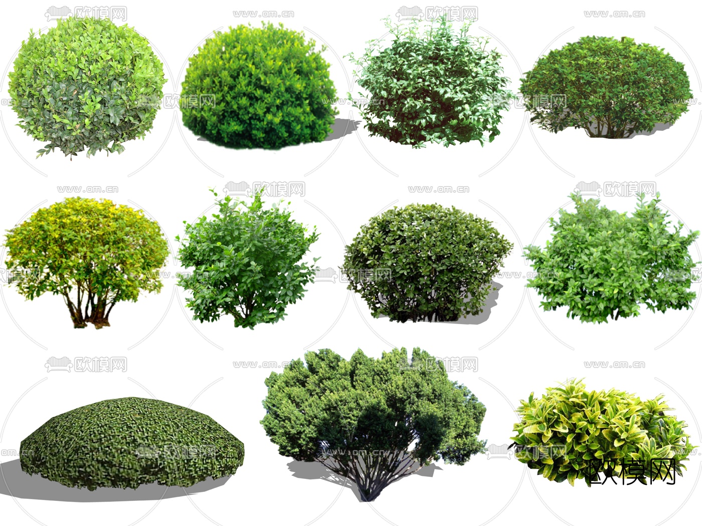 现代球类灌木su模型下载