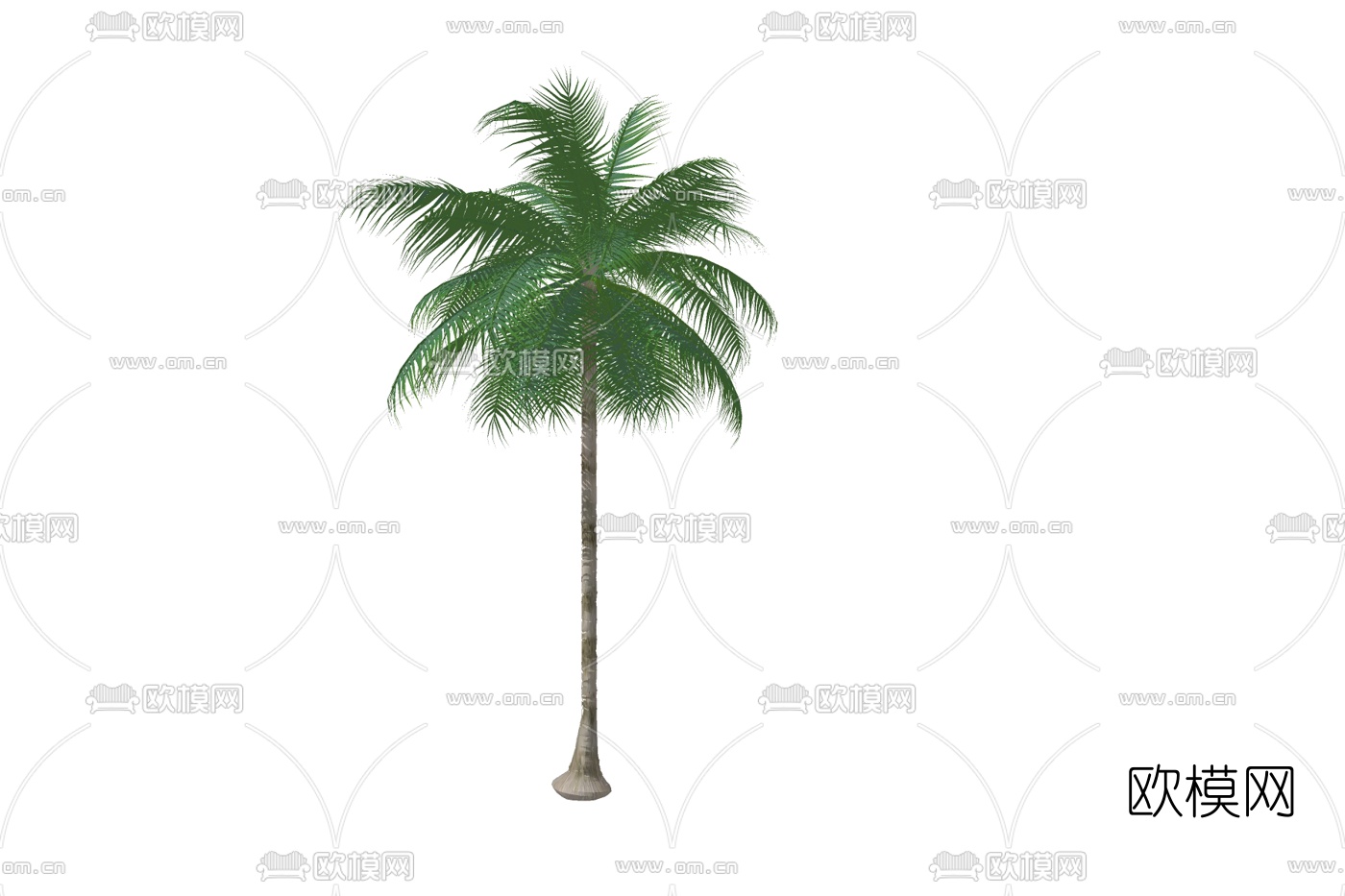 现代椰子树su模型下载