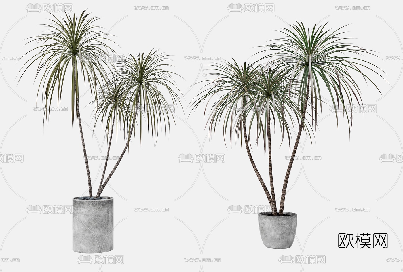 现代绿植盆栽3d模型