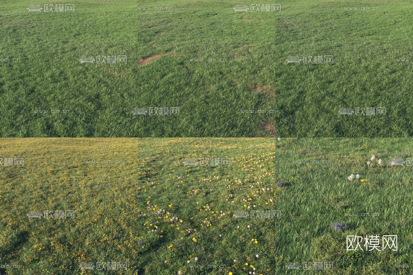 现代绿茵草坪草地3d模型