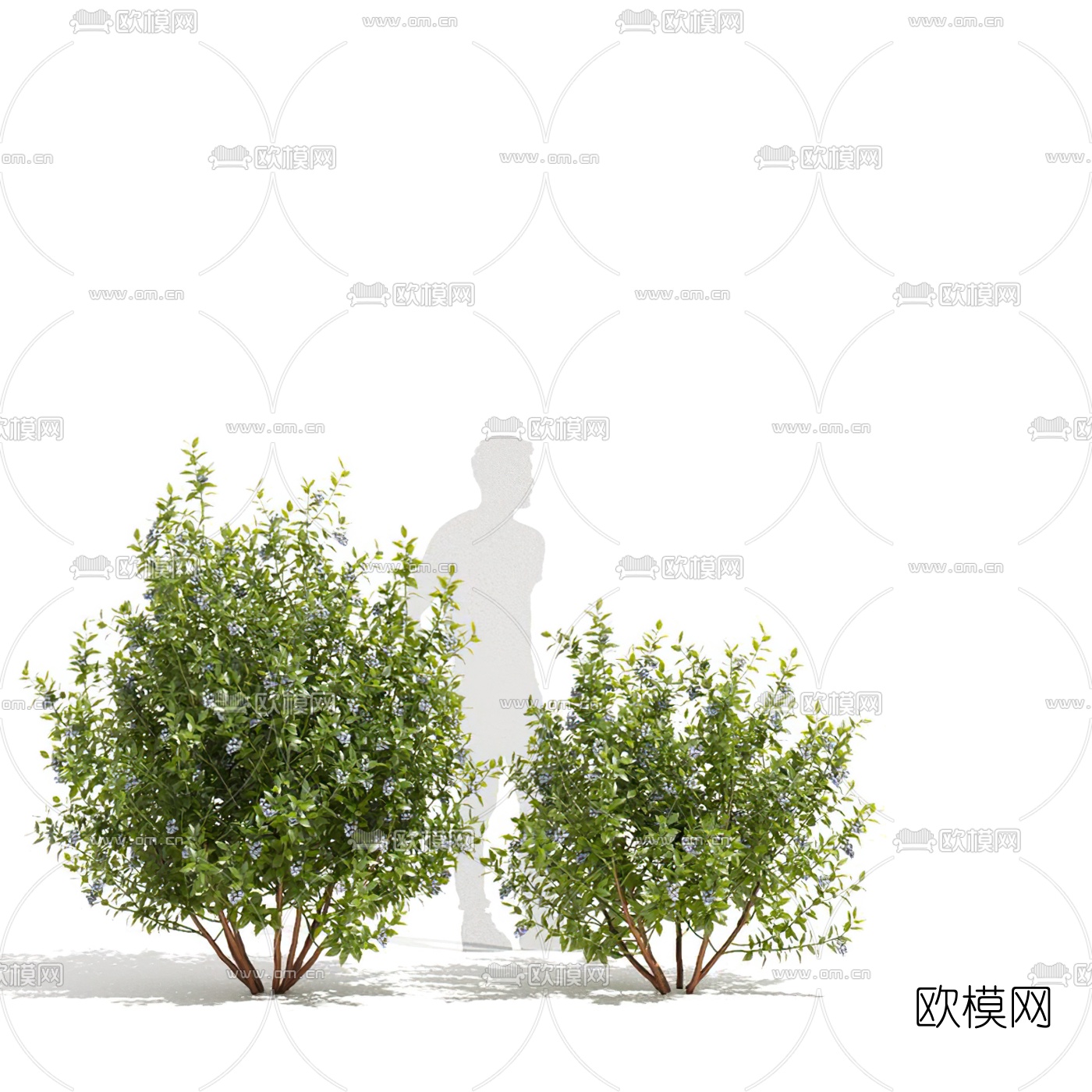 现代绿植灌木3d模型