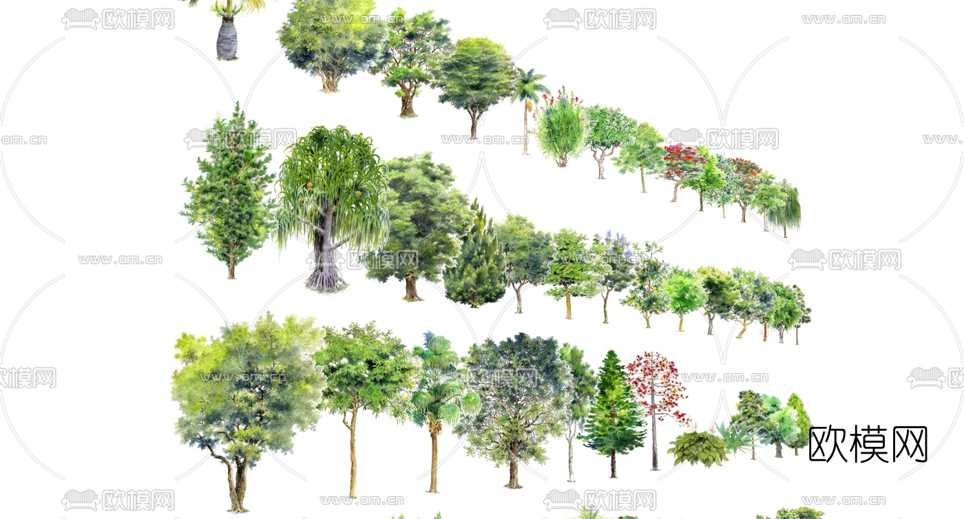 现代树木su模型下载（渲染图2）