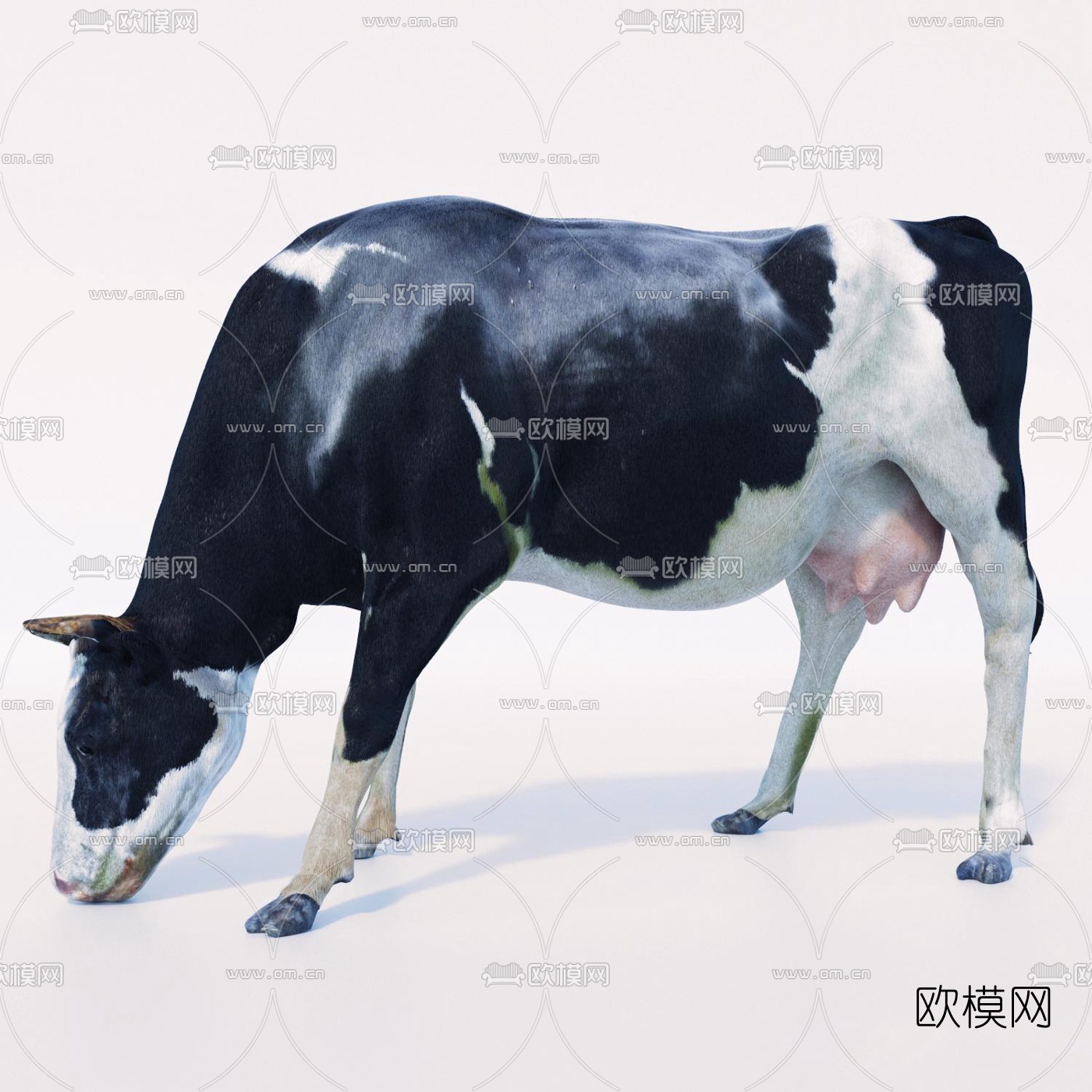 现代奶牛3d模型