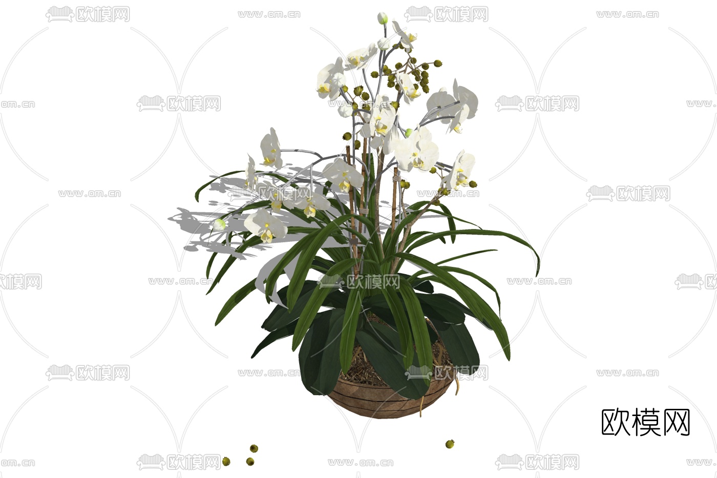 现代花卉盆栽免费su模型