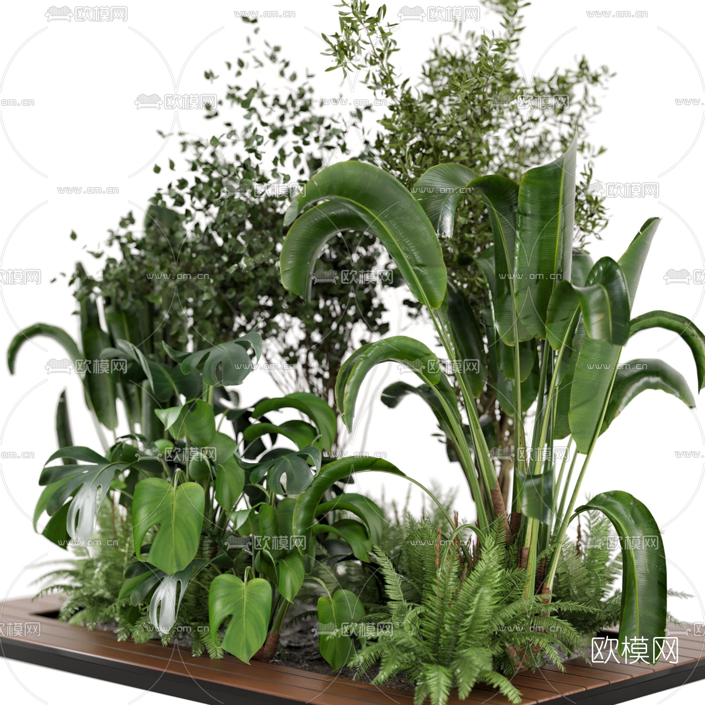 现代绿植盆栽3d模型