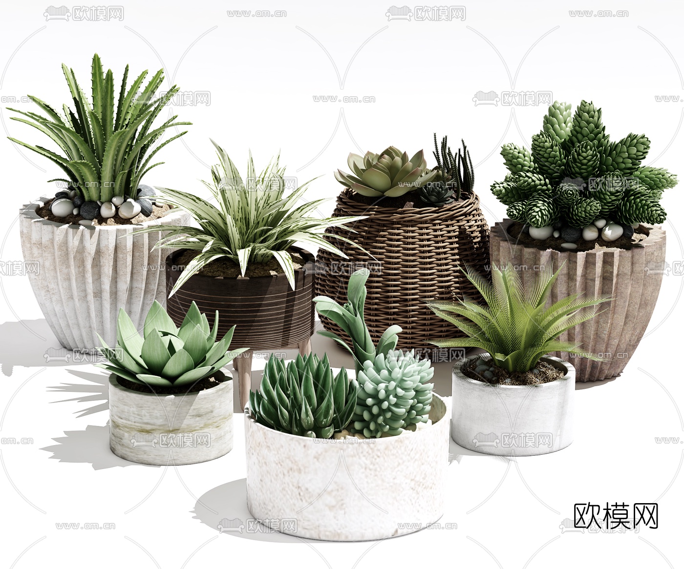 现代多肉植物盆栽3d模型下载_ID10142127_3dmax免费模型-欧模网