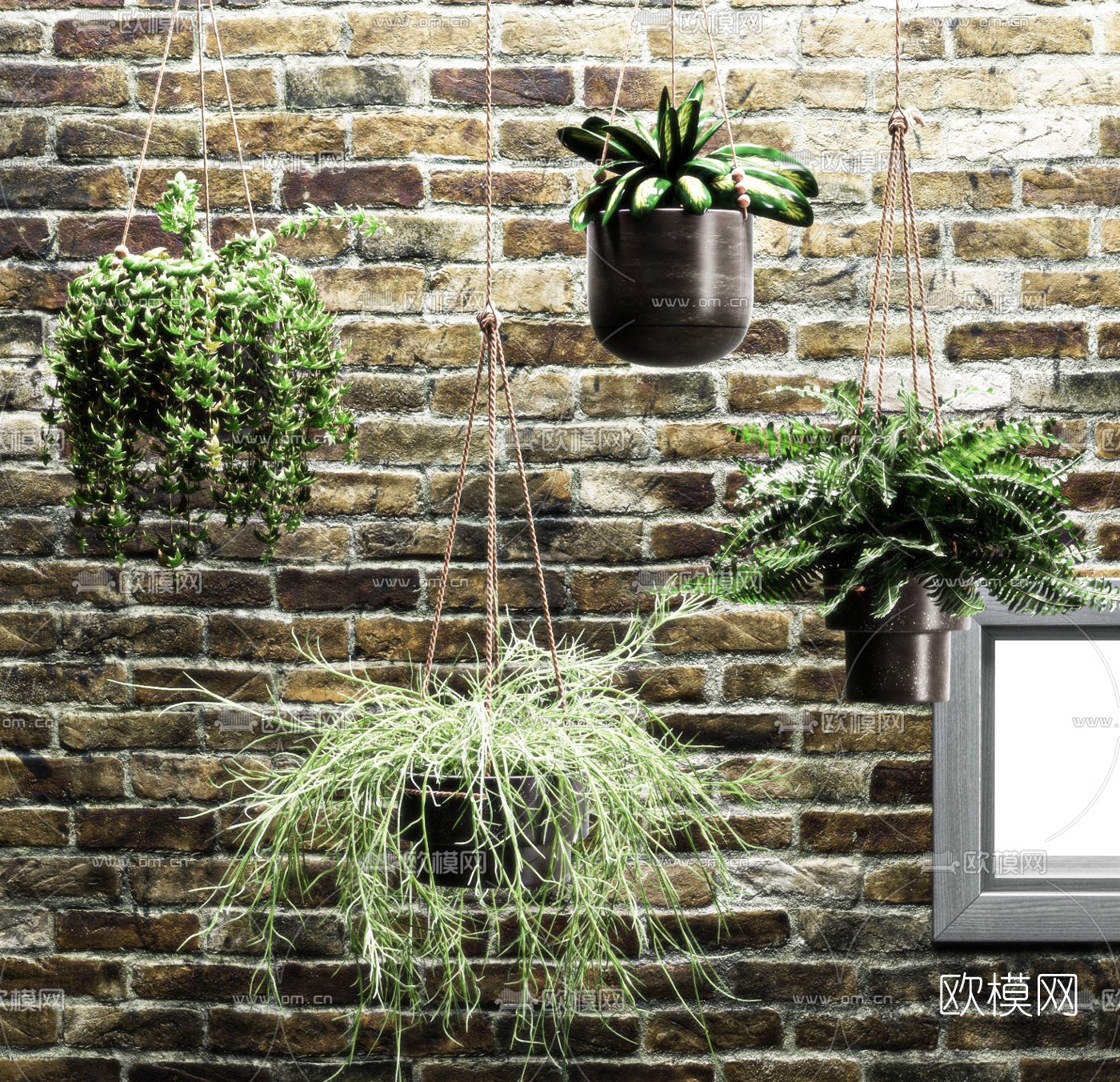 现代吊篮盆栽3d模型下载（渲染图2）