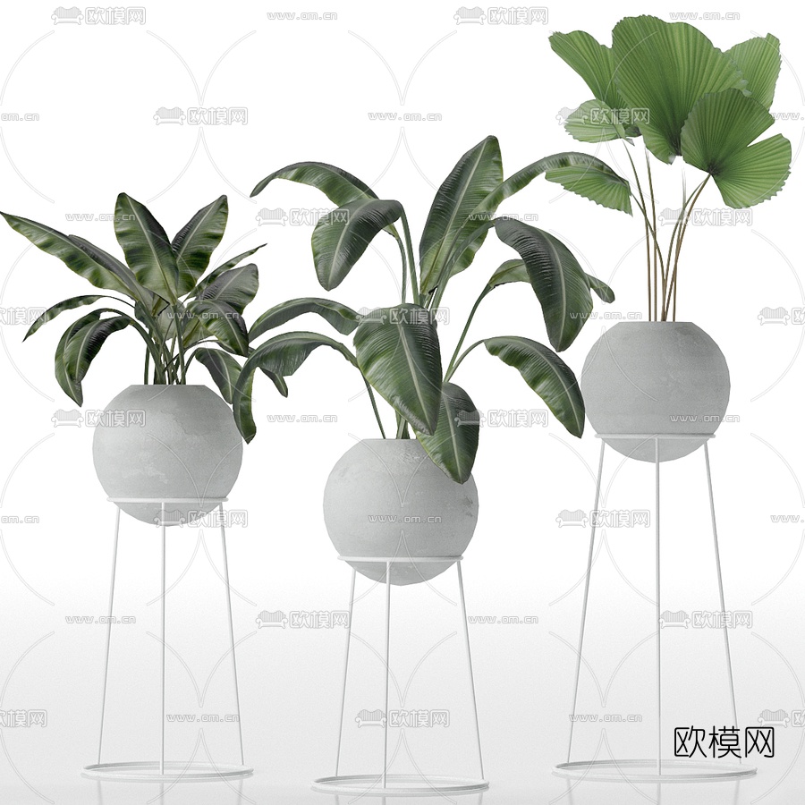 北欧植物盆栽3d模型下载（渲染图1）