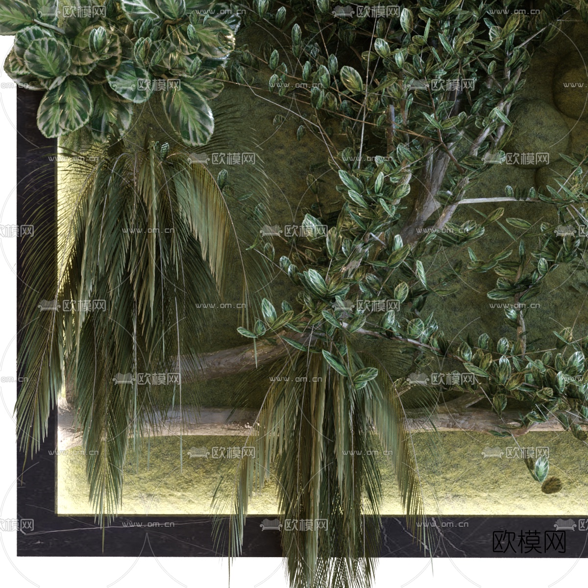 现代绿植植物墙3d模型